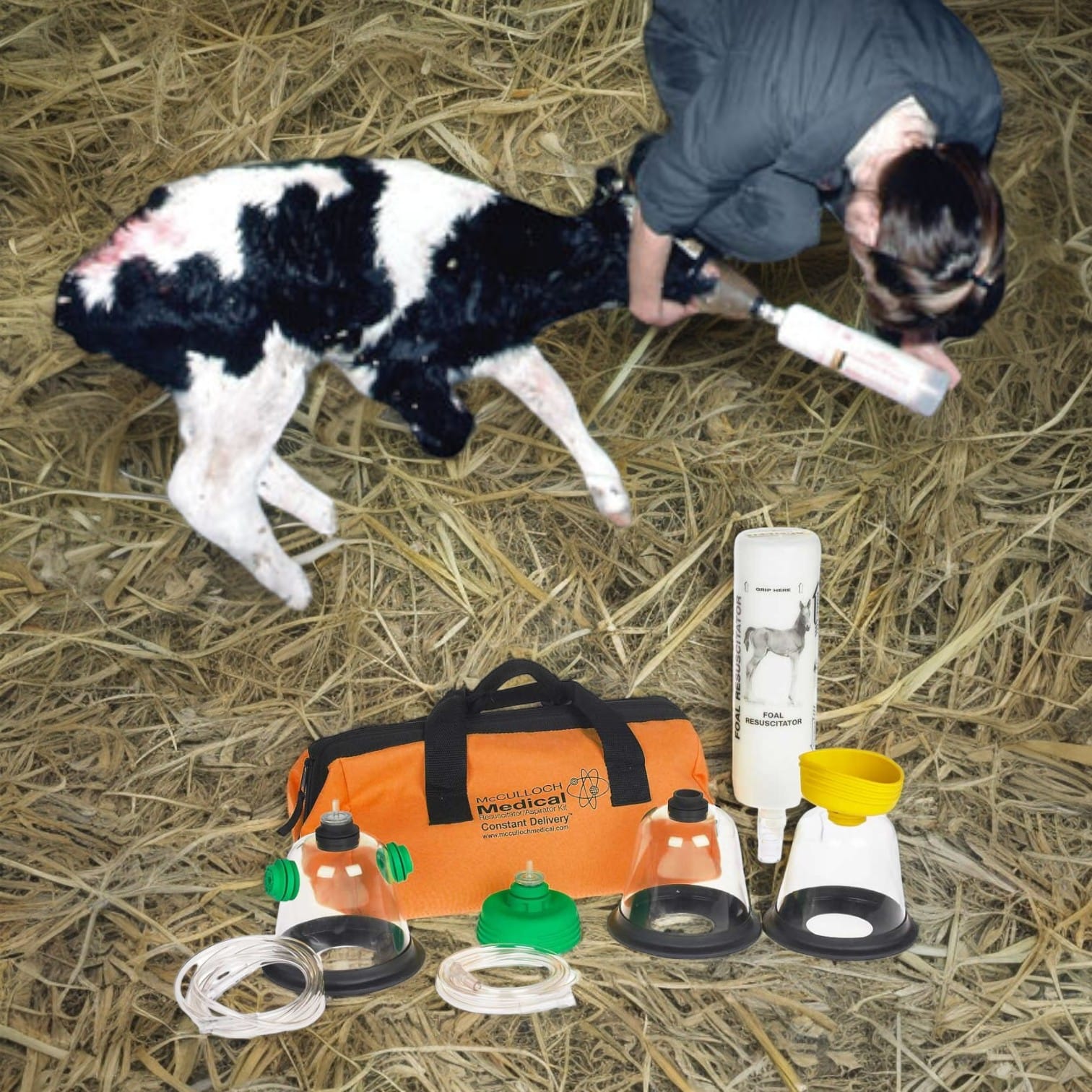 Calf and Foal Resuscitator
