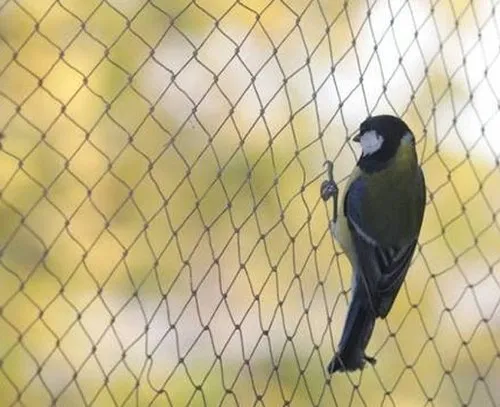 Bird Netting