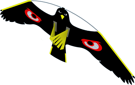 Terror Hawk Kite - Image 2