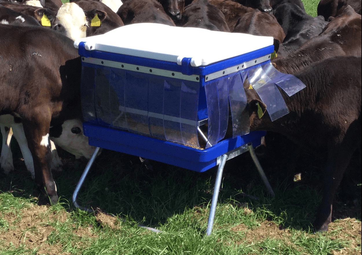 Creep Pellet/meal Feeder Birdproof Standalone Calf