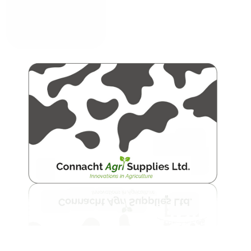 E-Gift Card