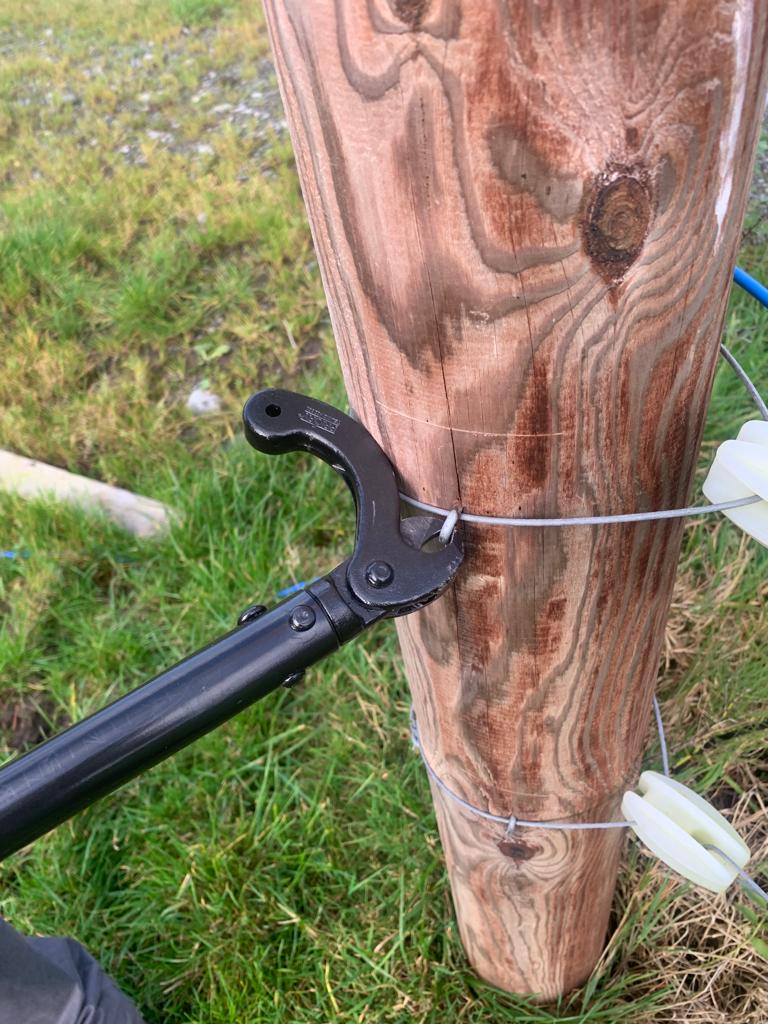 A- Staple Puller Texas Crab Claw